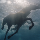 Image for article titled A Deep Dive Into This Burberry Commercial With a Horse and Adam Driver